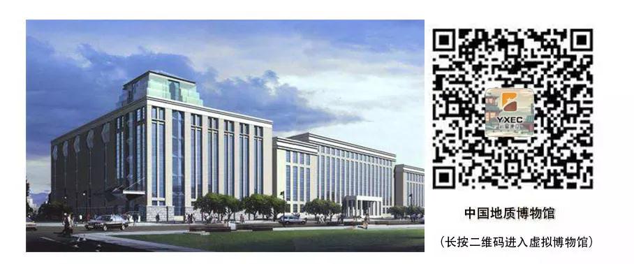 巖星建設(shè)丨線上博物館，感受不一樣的傳承插圖(1)