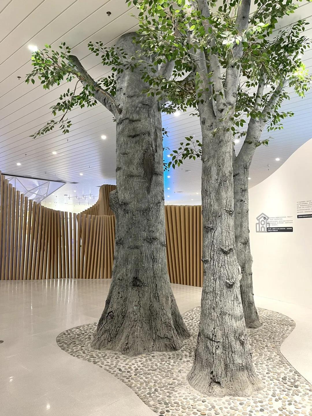 巖星特刊 | “疫苗博物館”，透過歷史切片見證偉大事業插圖(5)